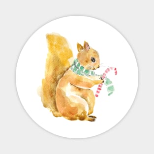 Squirrel with candy stick Christmas watercolor Magnet